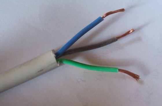 Στερεό PVC μονωμένο σύστημα συναγερμού πυρκαγιάς με αγωγό χαλκού Κόκκινο μπουφάν 2 καλώδιο συναγερμού